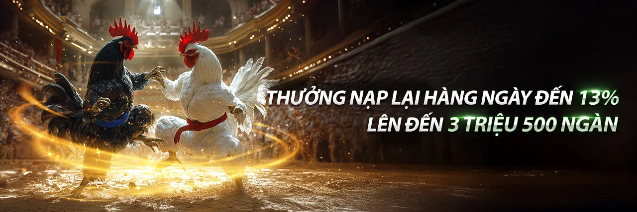Đá gà trực tuyến kịch tính tại 95vn1